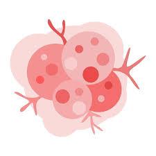 HIPEC + Cytoreductive Surgery illustration 2